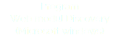 Program Web modul Discovery (Microsoft windows)